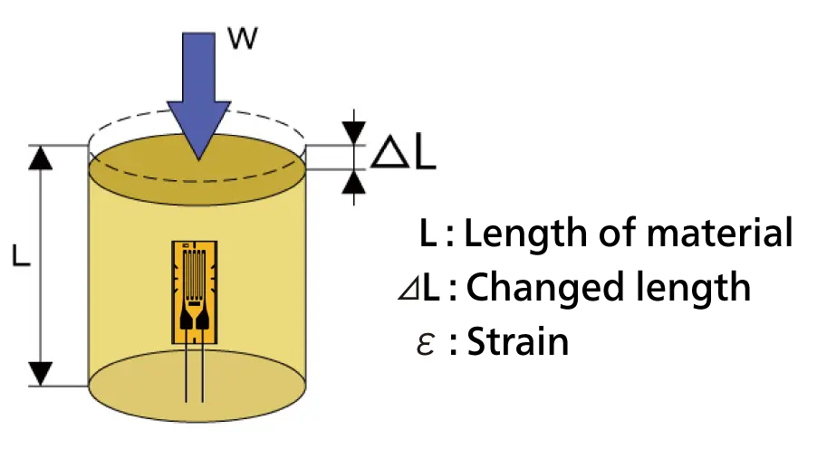 Which formula indicates strain?