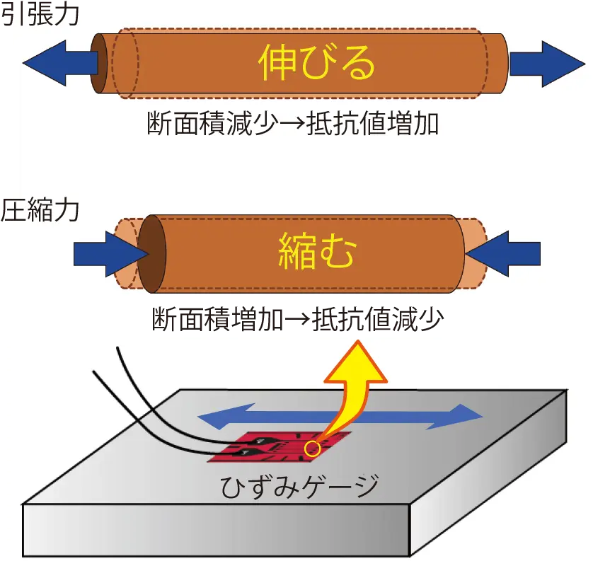 材料が伸縮する変化量です。