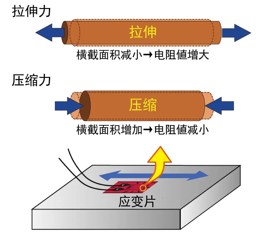 材料的伸缩变化量